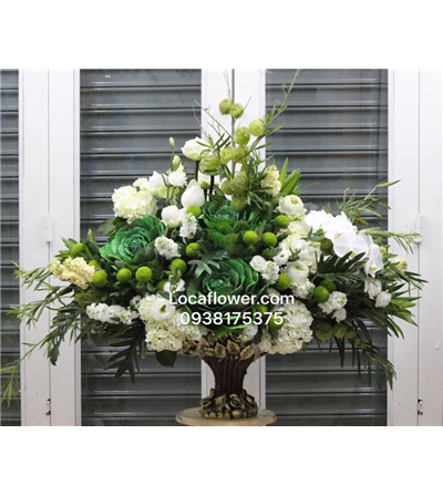 DỊU DÀNG XANH LÁ CÂY