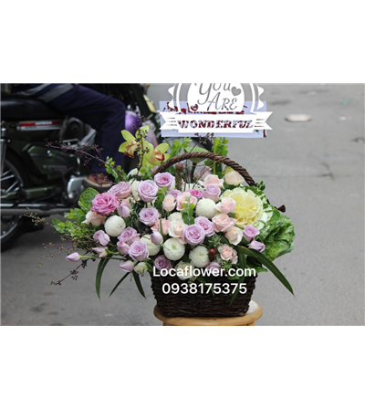 BẮP CẢI 6
